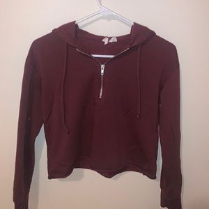Cropped sky and sparrow hoodie